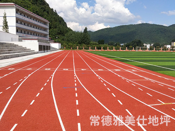 銅仁中學塑膠跑道、草坪